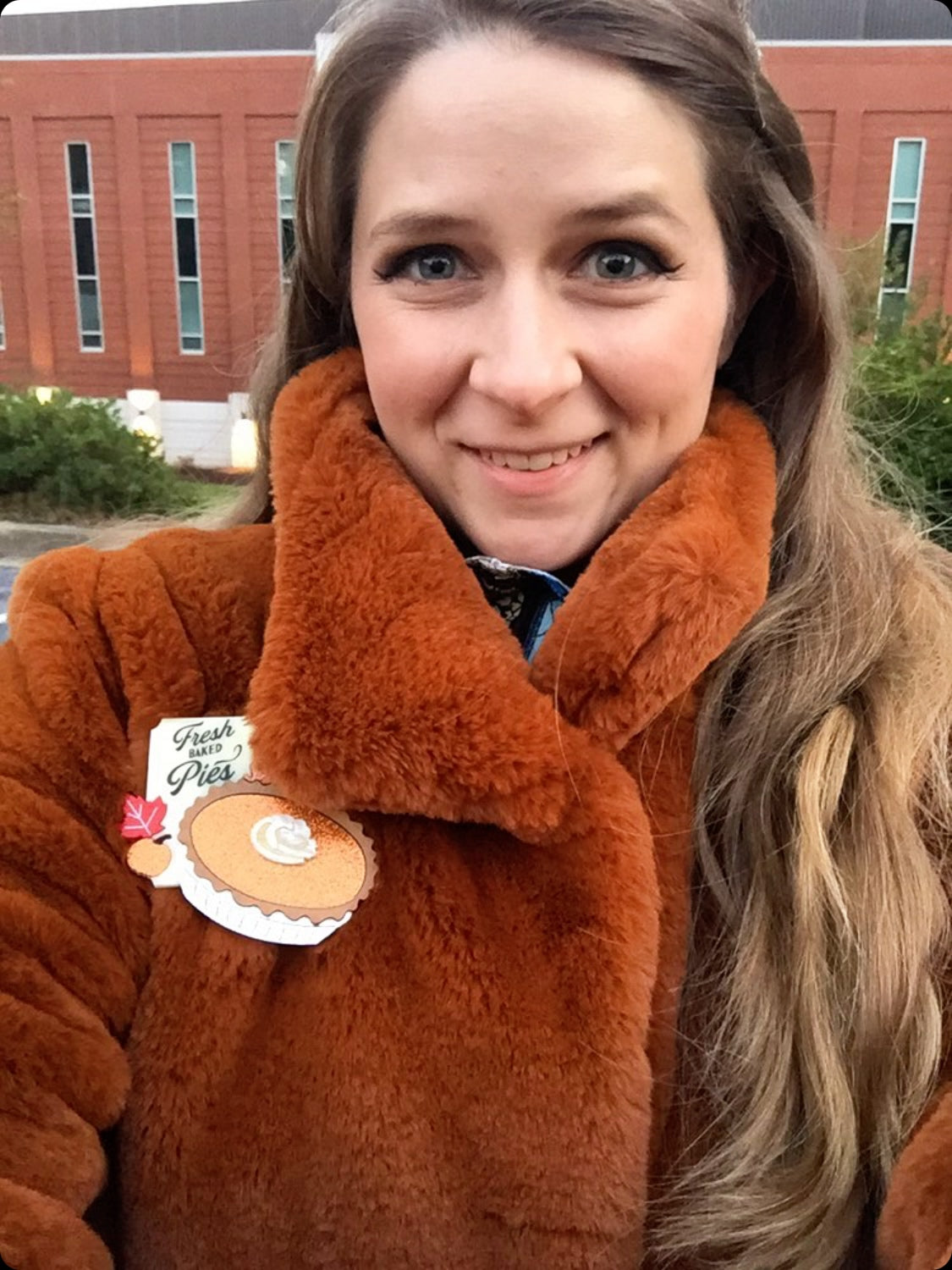 Pumpkin Pie Brooch